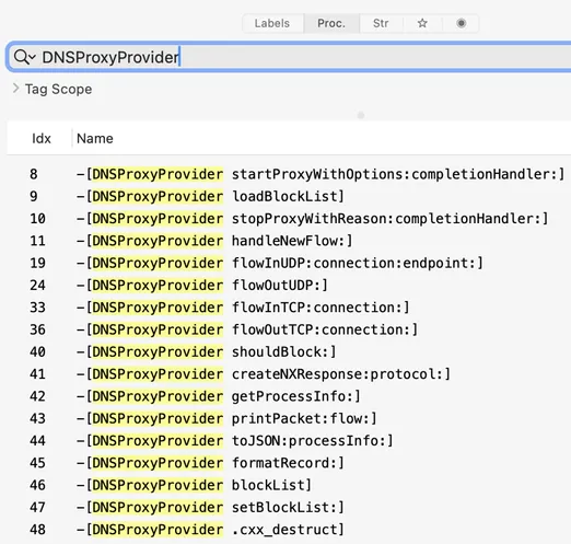 A screenshot of Hopper on macOS where the built-in search is used to find method's of the "DNSProxyProvider" class.